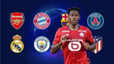 Jonathan David (Foto: Transfermarkt)