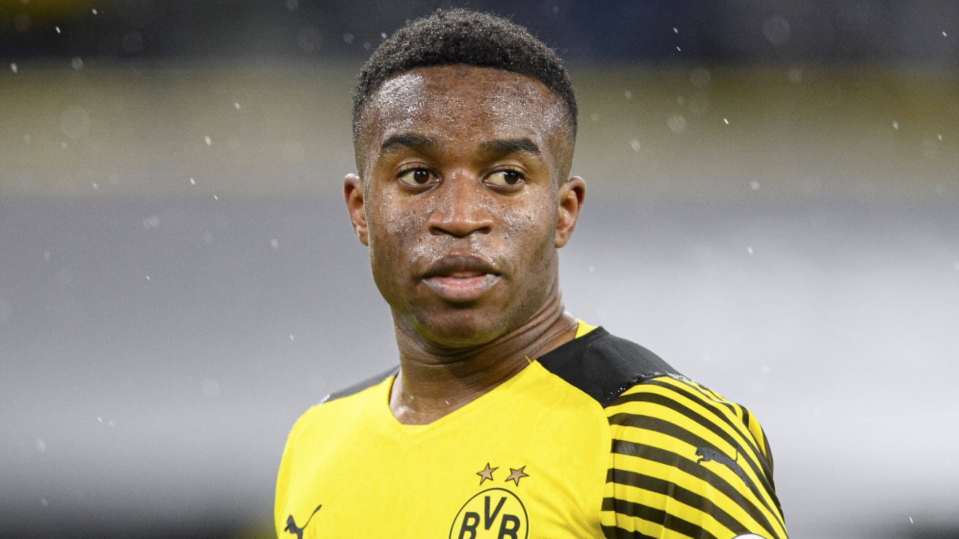 Borussia Dortmund / Foto: Transfermarkt