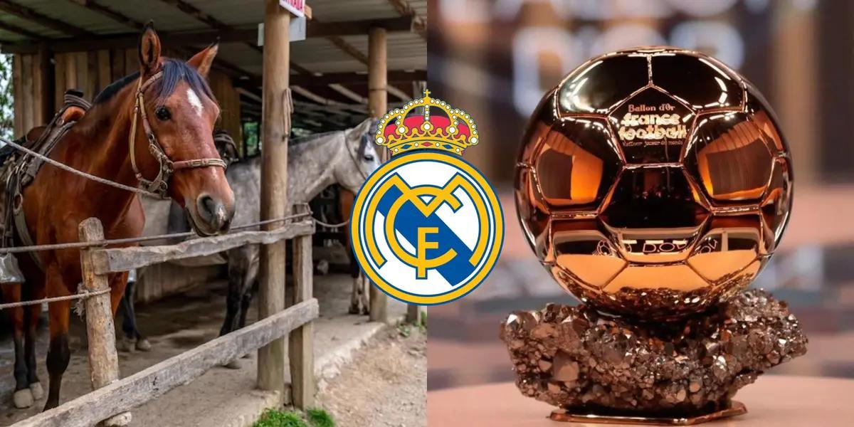 Brilló de joven y ganó un Balón de Oro con solo 21 años pero su carrera fue a pique y ahora se dedica a los caballos