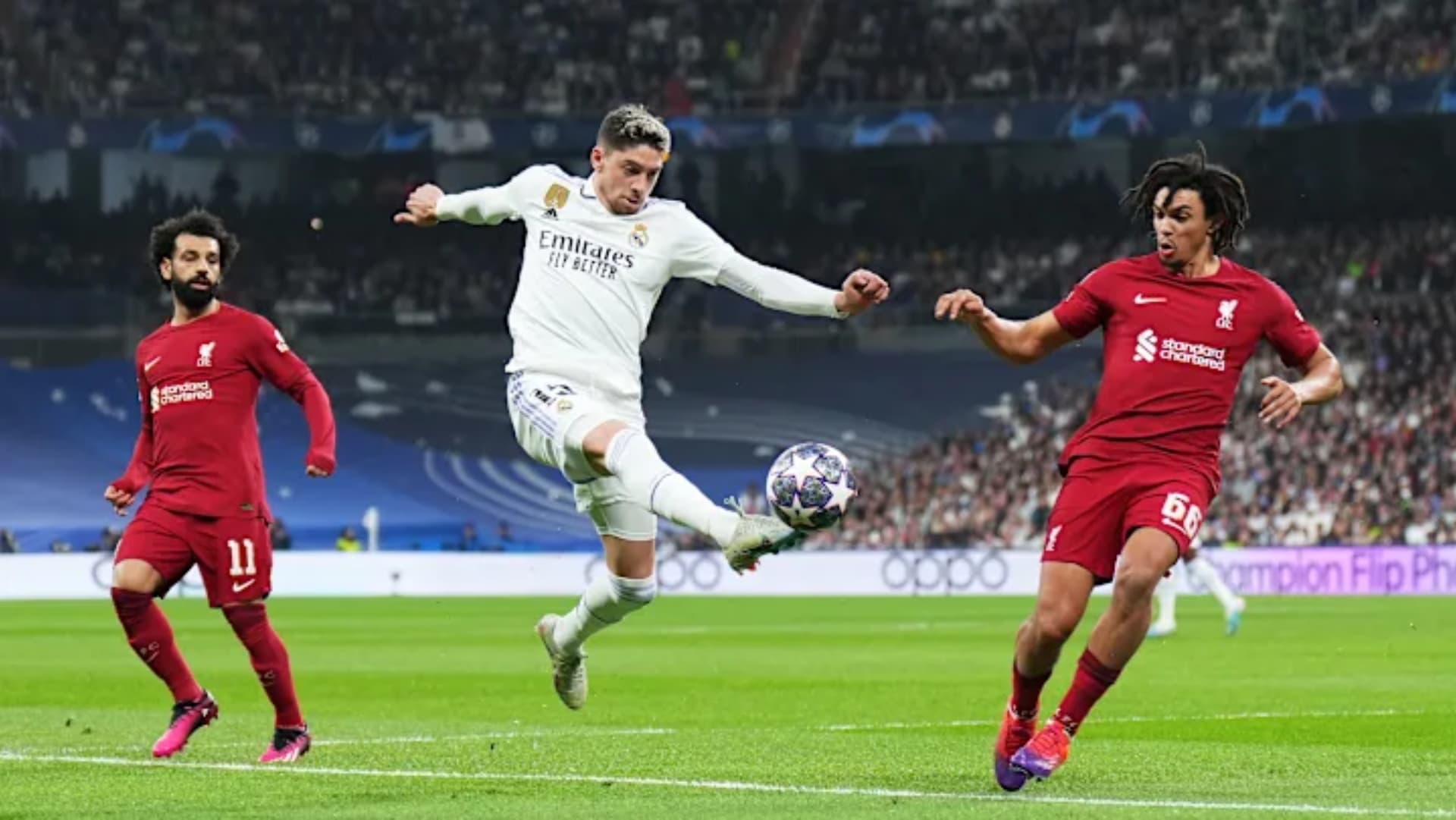 Champions League / Foto: Champions League