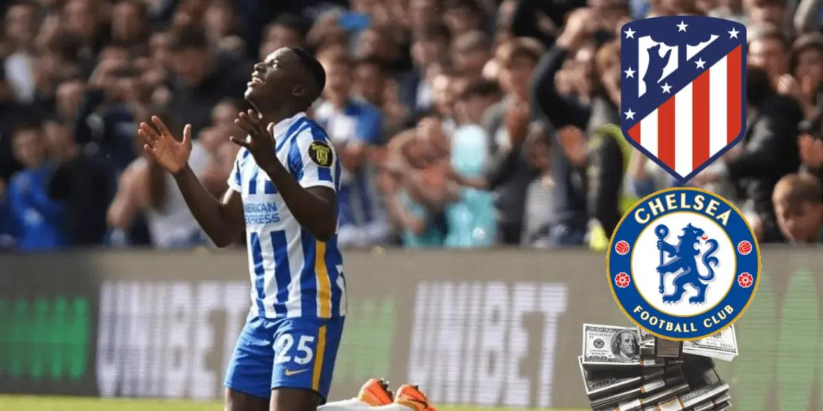 Chelsea le ofrecería una fortuna a Caicedo para quedarse con él.