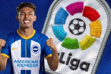 El atacante ecuatoriano no está teniendo protagonismo en Brighton.