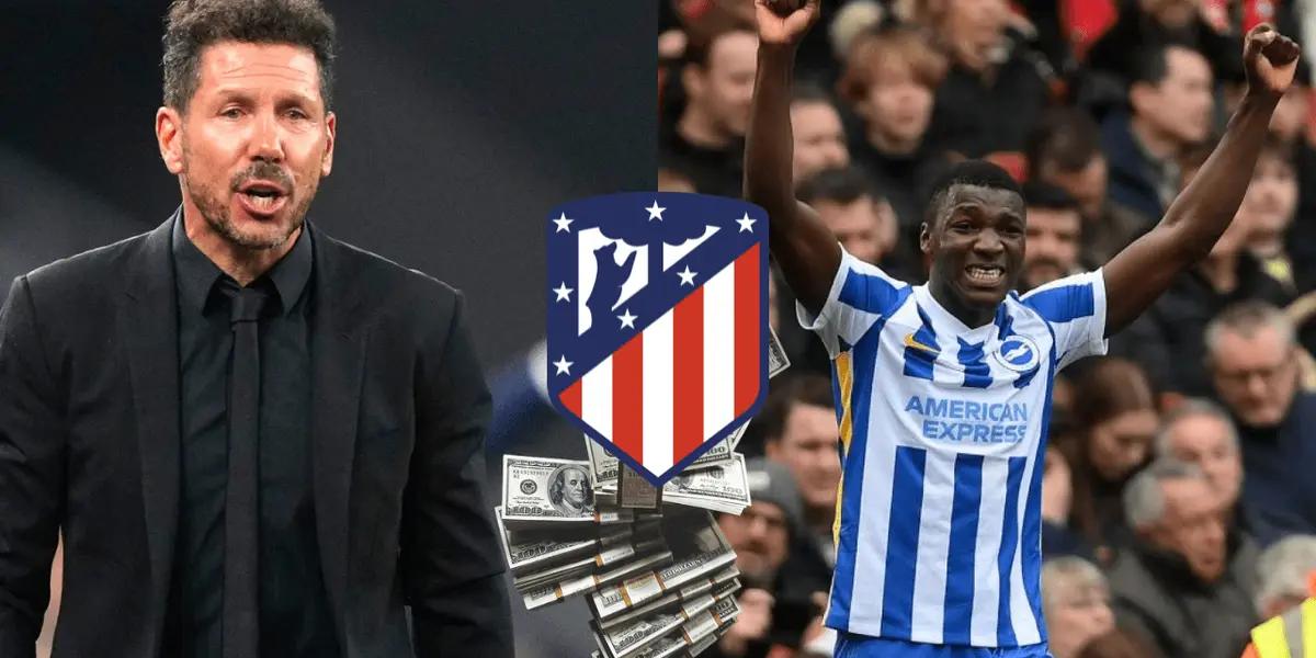 El Colchonero ya tiene una estrategia para quedarse con Moisés Caicedo.