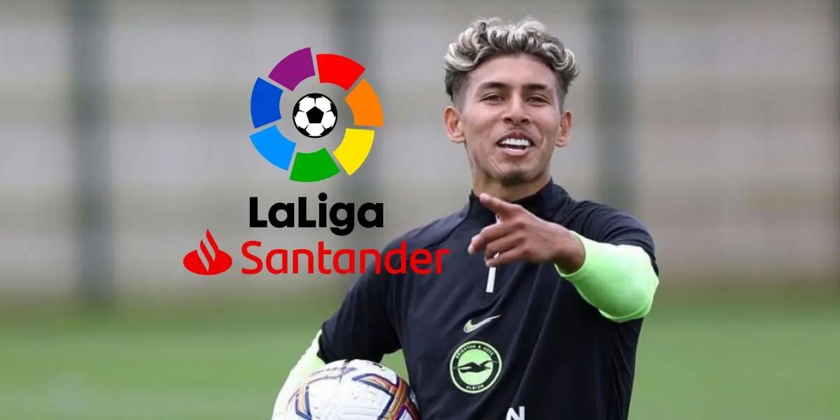 El ecuatoriano no tiene lugar en Brighton pero en España le abren los brazos.