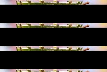 El partido ante Tottenham le abrió un gran interrogante a Xavi Hernández en FC Barcelona de cara al debut