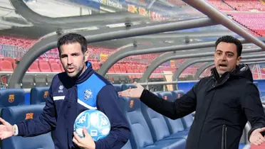 Fabregas rechazó dirigir a Barça y eligió su favorito para suceder a Xavi