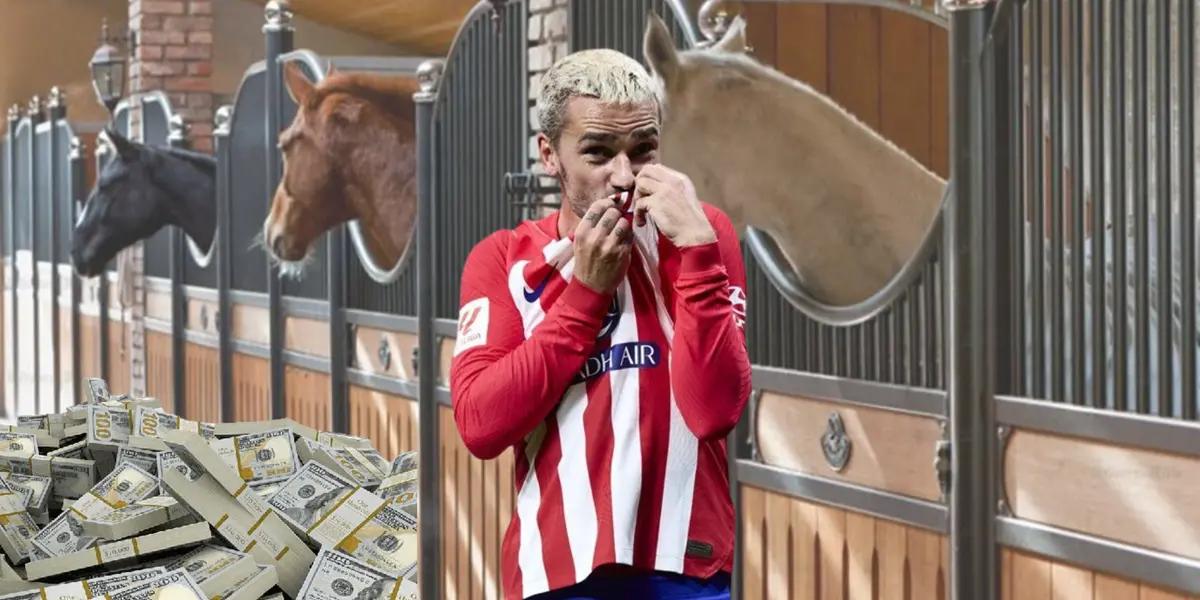 Griezmann es el mejor pago de Atleti, la fortuna que gastó en caballos