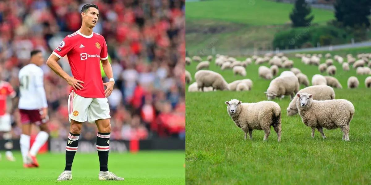 La historia de vida del portero iraní es realmente admirable y ya ha quedado en la historia de su país.