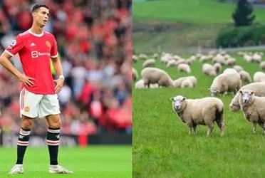 La historia de vida del portero iraní es realmente admirable y ya ha quedado en la historia de su país.