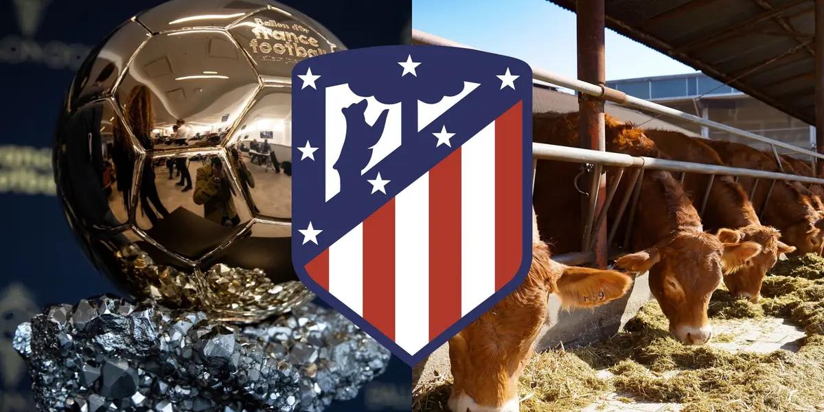 La increíble historia de esta super estrella del Atlético de Madrid