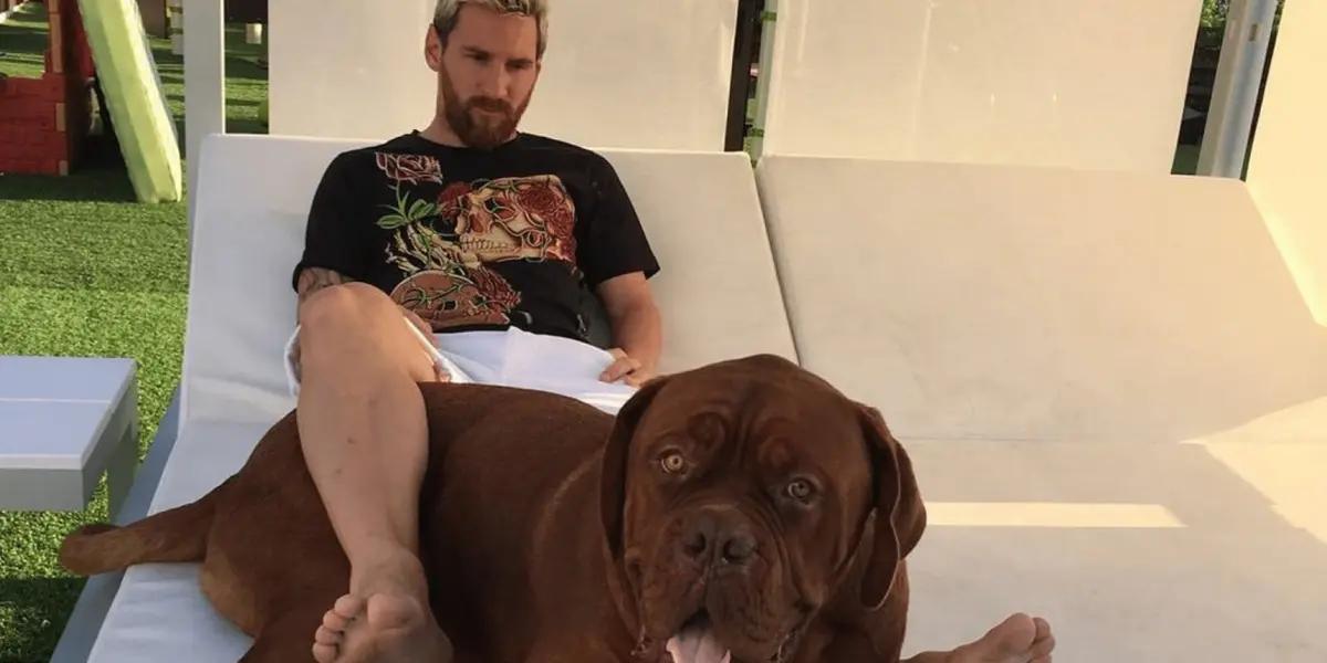 Lionel Messi tiene un perro pero que quedó viviendo en España por un motivo que confesó el delantero argentino