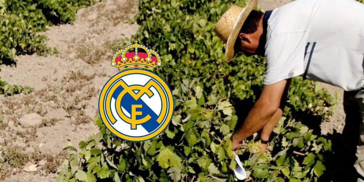 Real Madrid / Foto: El Futbolero España