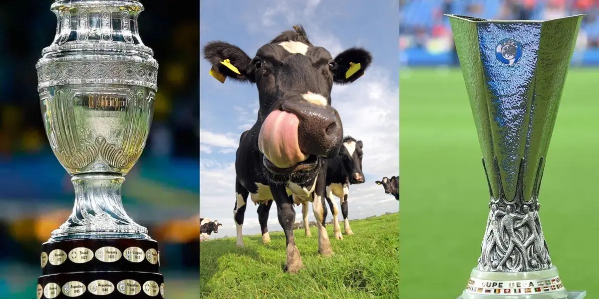 Un futbolista referente de Atlético de Madrid que ganó todo a nivel continental hoy tiene un particular empleo