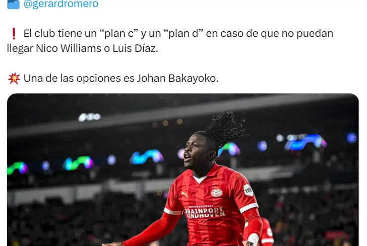 Vía X