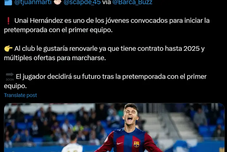Vía X