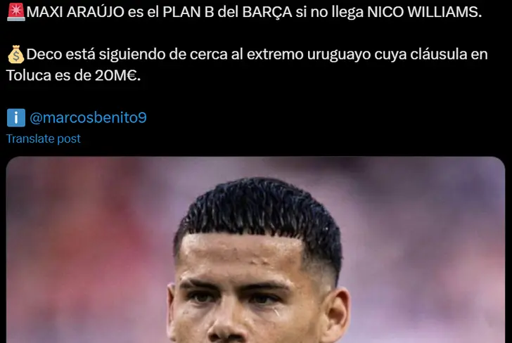 Vía X