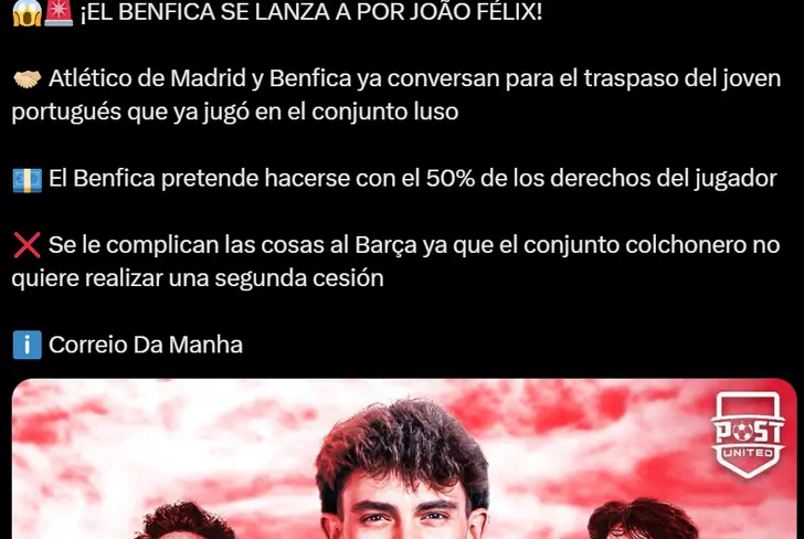 Vía X